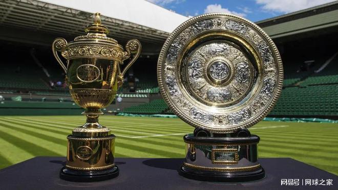 的双重考量 的双重考量